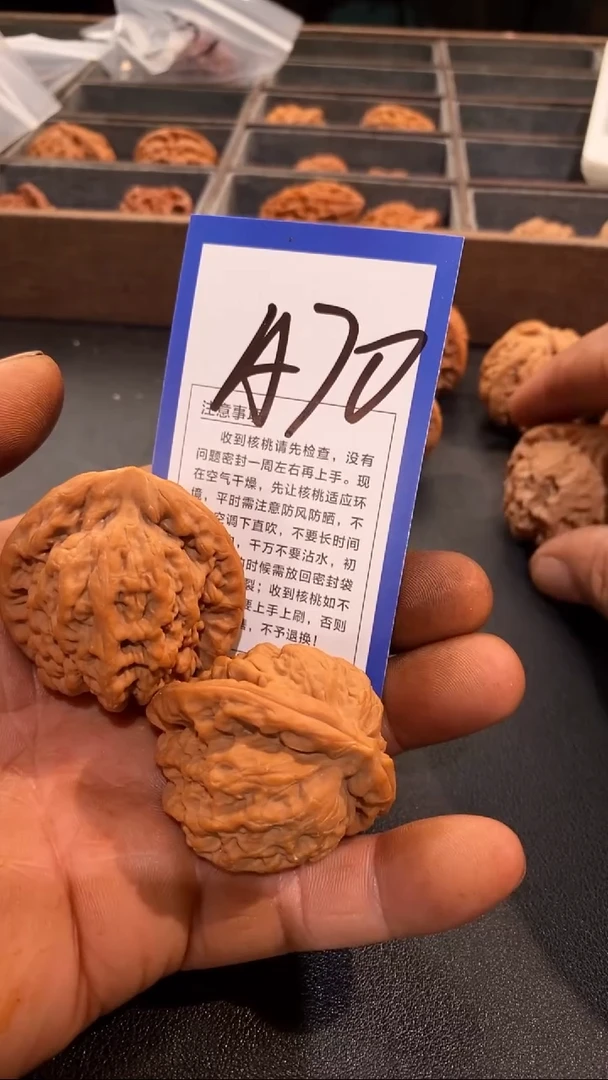 文玩核桃把件与**尘43金公子