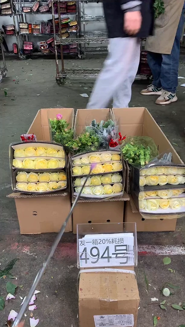 494号♥中通含20%耗损发一箱鲜花