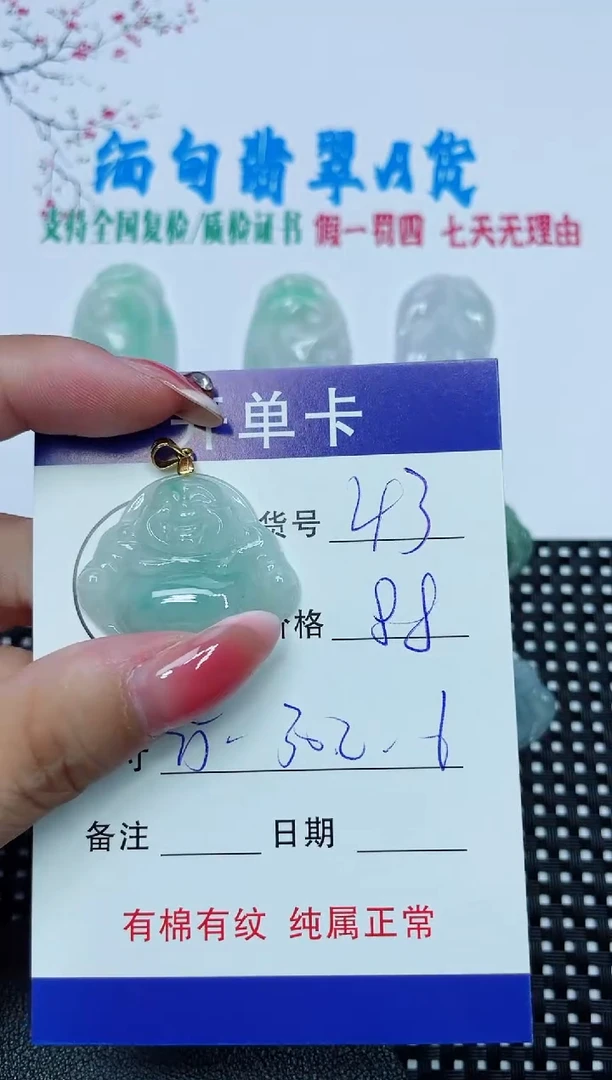 翡翠未镶嵌吊坠(赠链)43