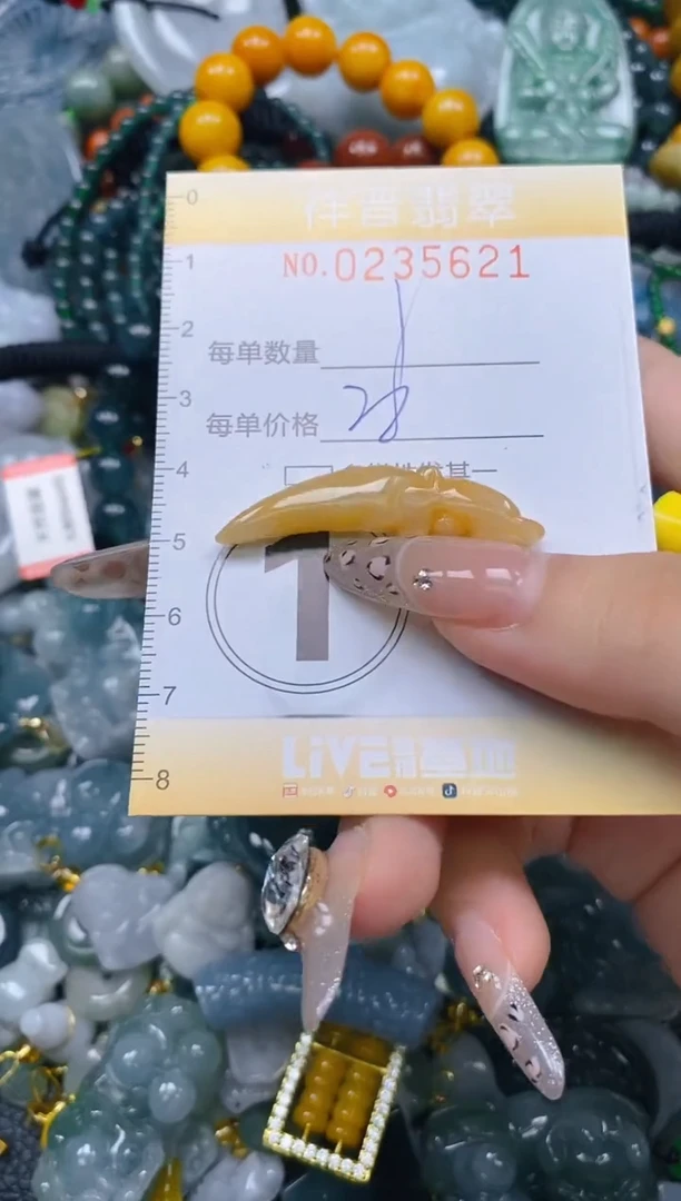 颈饰未镶嵌翡翠闪购0235621