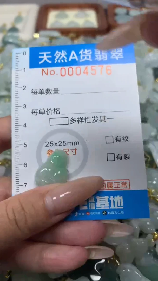 翡翠未镶嵌颈饰净货挂件-4576