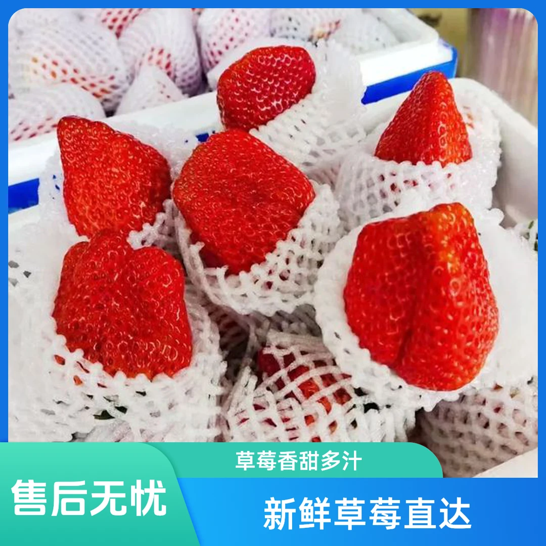 草莓奶霸顺丰包邮净重三斤99草莓中国大陆