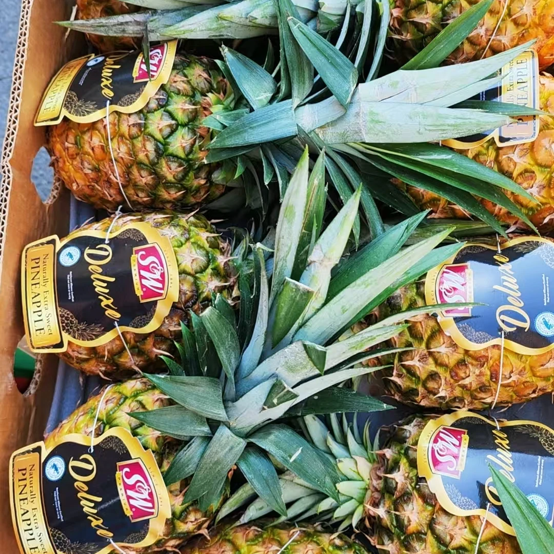 纯甜都乐大凤梨15元一个约2.5斤