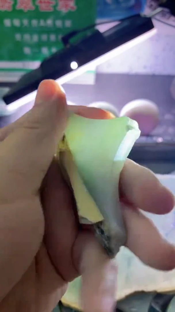 裸石翡翠翡翠多样性发货34