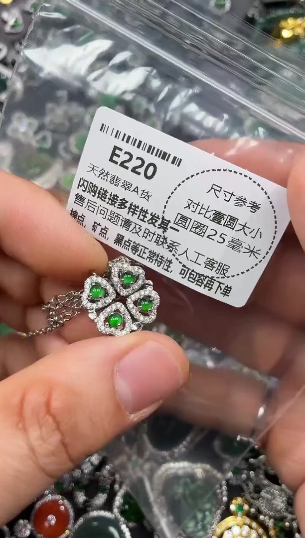 颈饰未镶嵌翡翠E220项链
