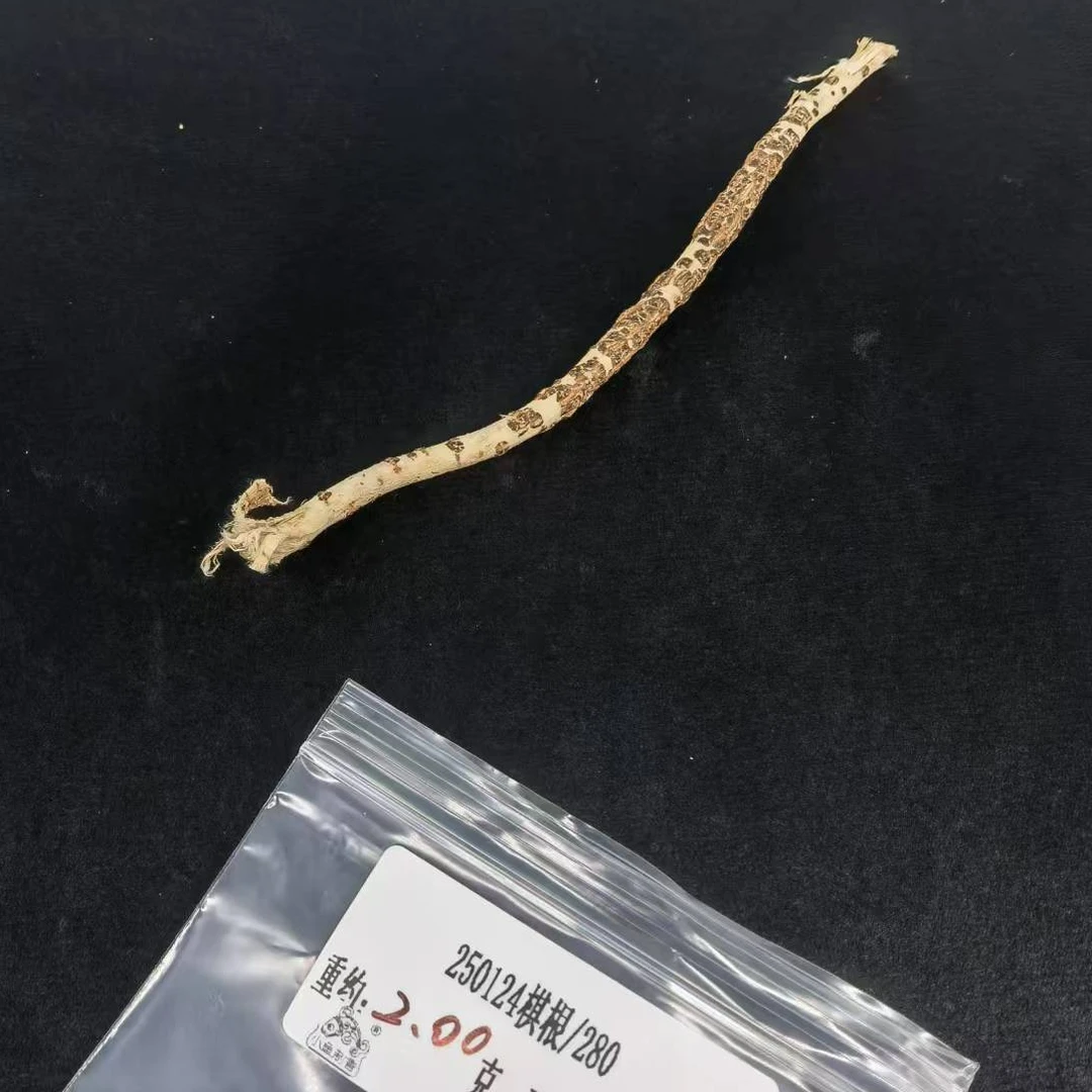 重约2.00克  250124棋根/280（料） 天然木艺