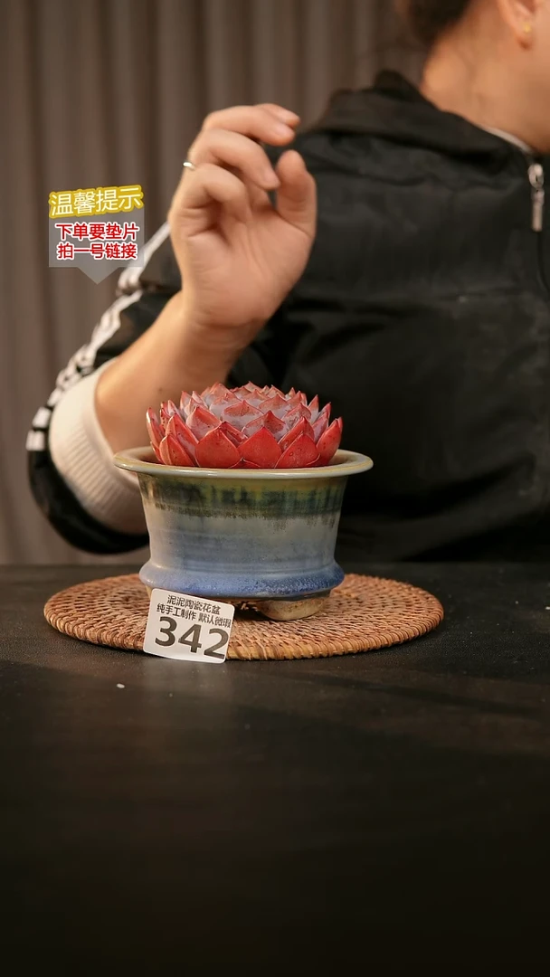 瓷片342内口径约 10外高约8