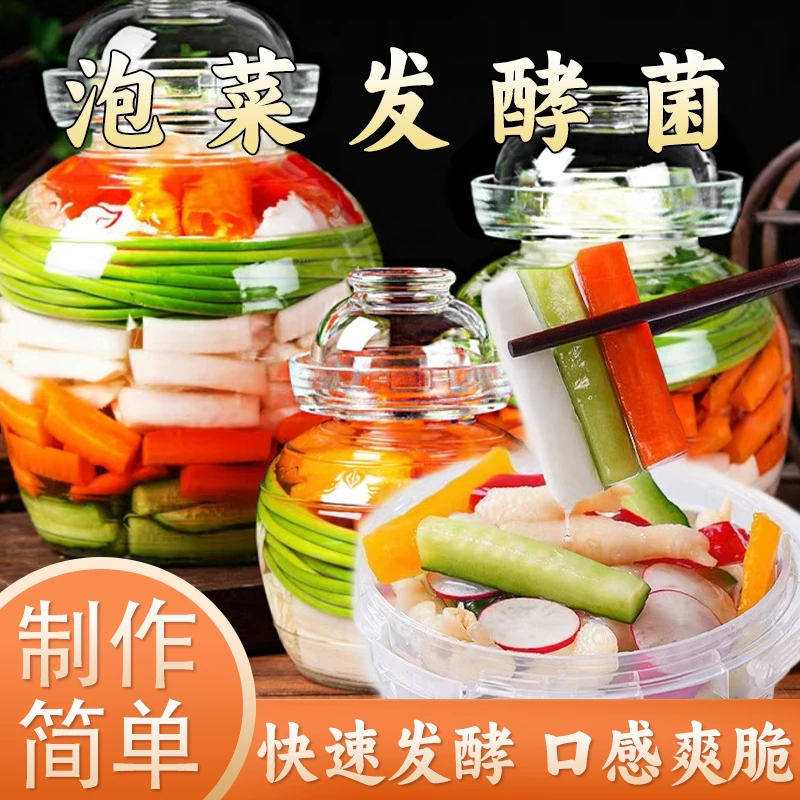 东北四川泡菜发酵菌酸菜家用自制韩式泡菜正宗四川泡菜菌种发酵剂