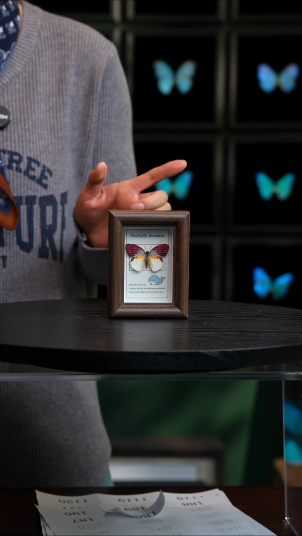 红晕珂粉蝶木框冰箱贴