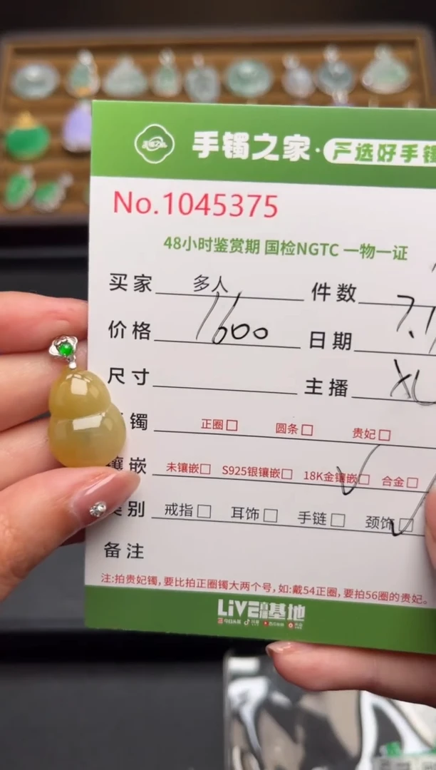 翡翠18K金镶嵌颈饰多人