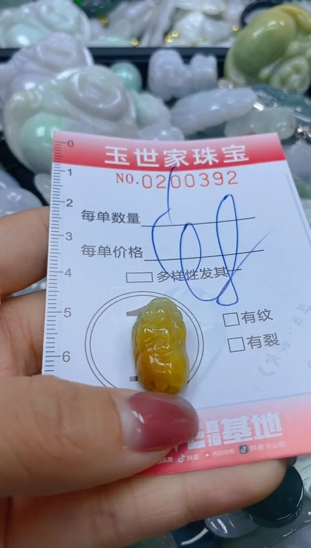 【闪购商品】翡翠颈饰未镶嵌闪购0200392