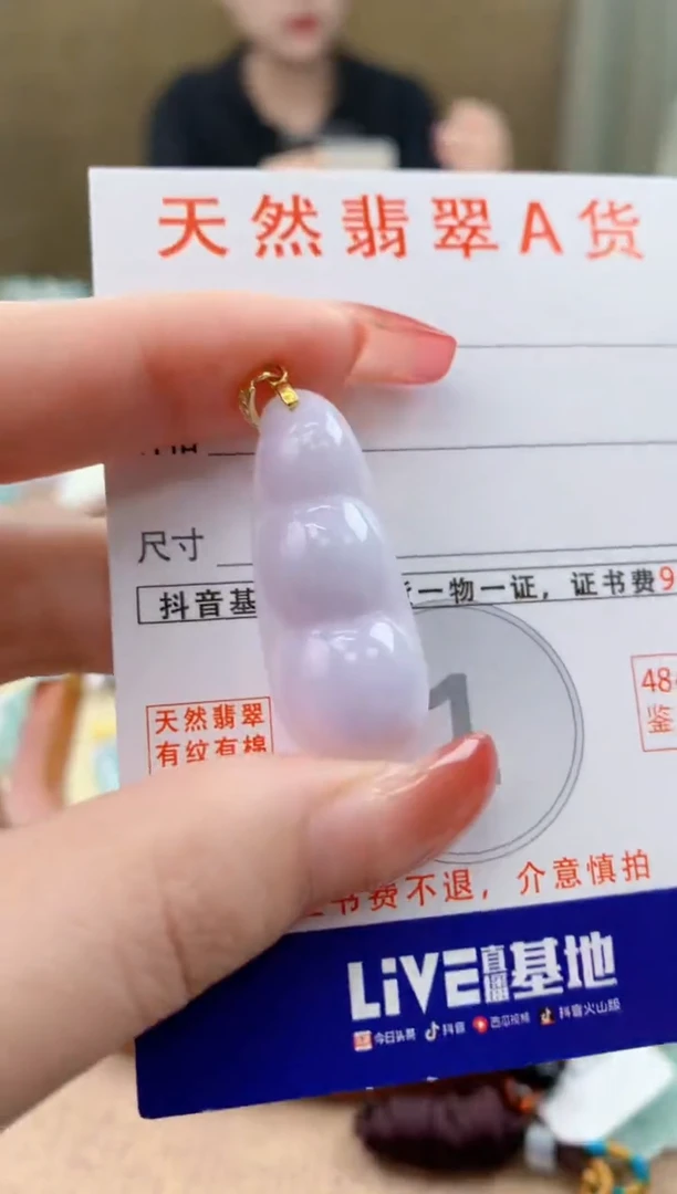 颈饰未镶嵌翡翠天然A货翡翠挂件