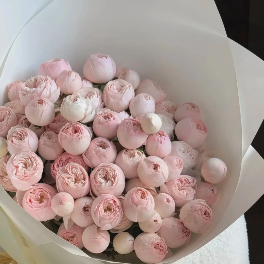 【酷皮】多头玫瑰（全场同一地址两单顺丰冷链包邮噢~）