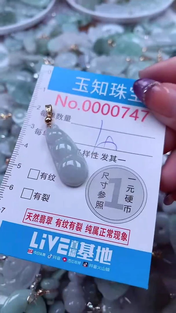 翡翠未镶嵌吊坠(不含链)747