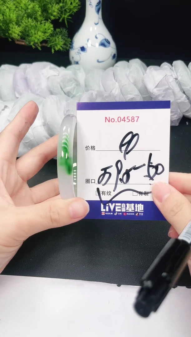 未镶嵌手镯翡翠4587