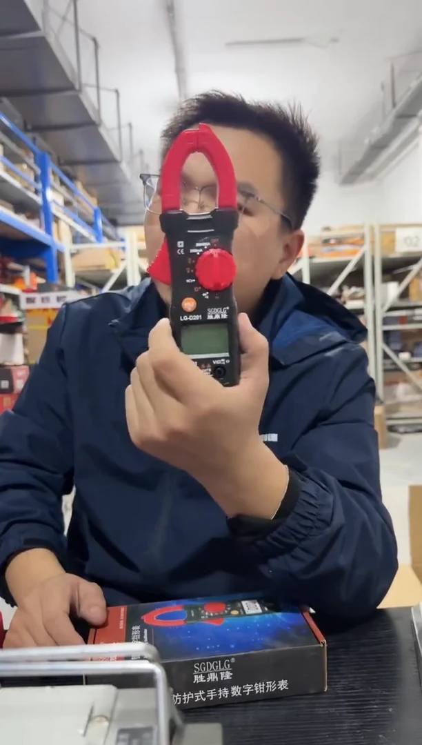 胜鼎隆LG-D201高精度数字钳形表