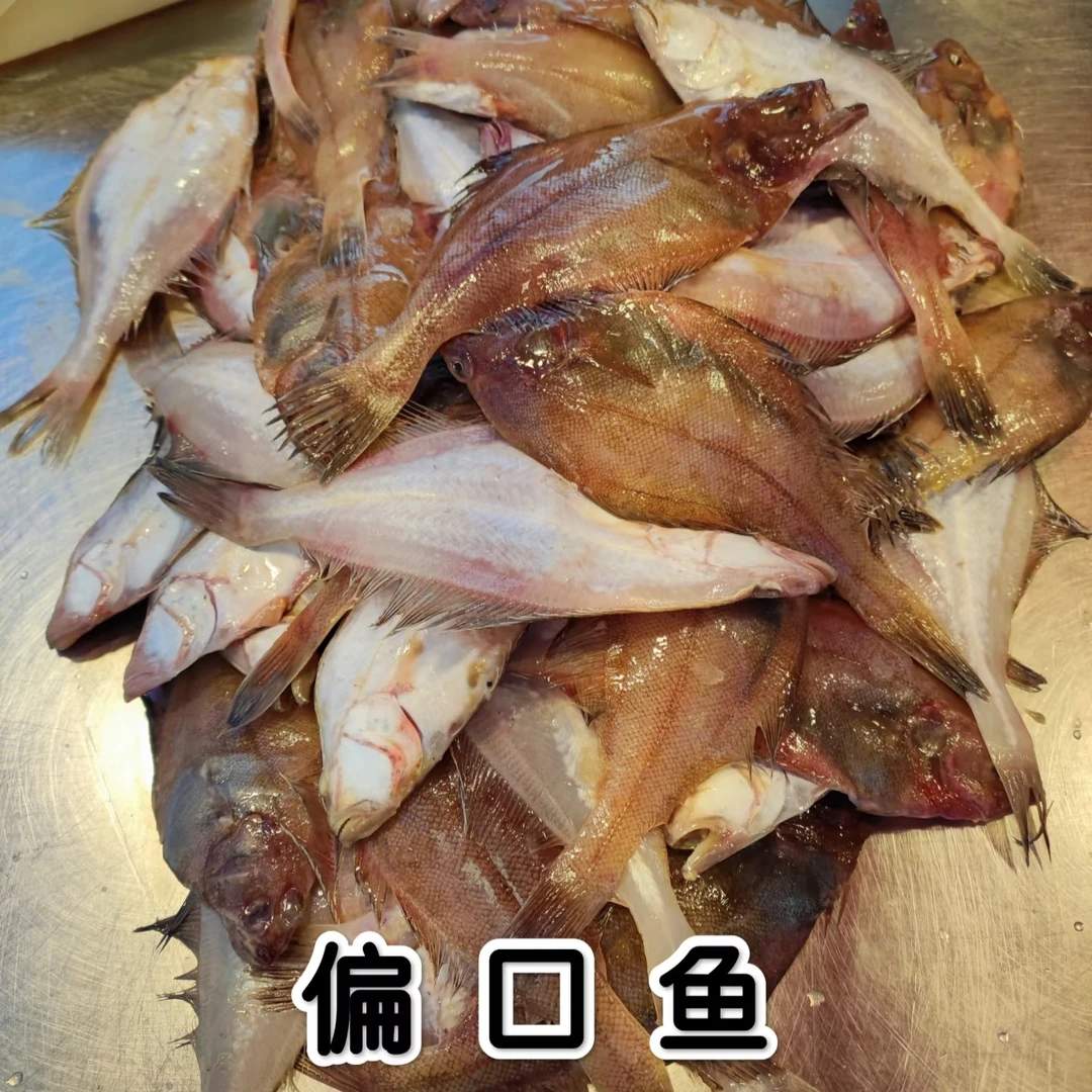 大连野生鲜偏口鱼比目鱼4斤(小片40条以内) 顺丰包邮