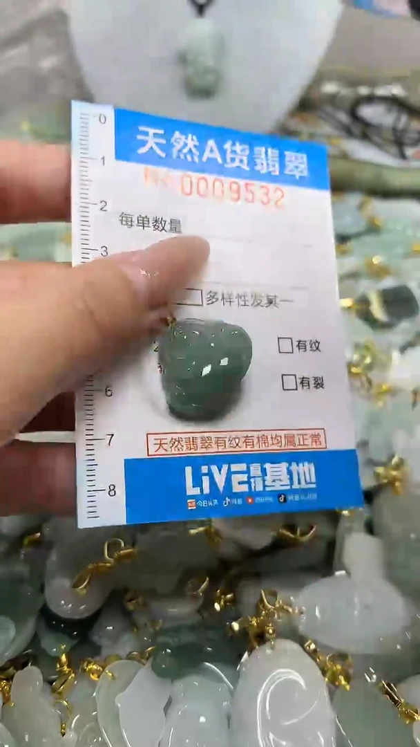 翡翠未镶嵌颈饰净货挂件-9532