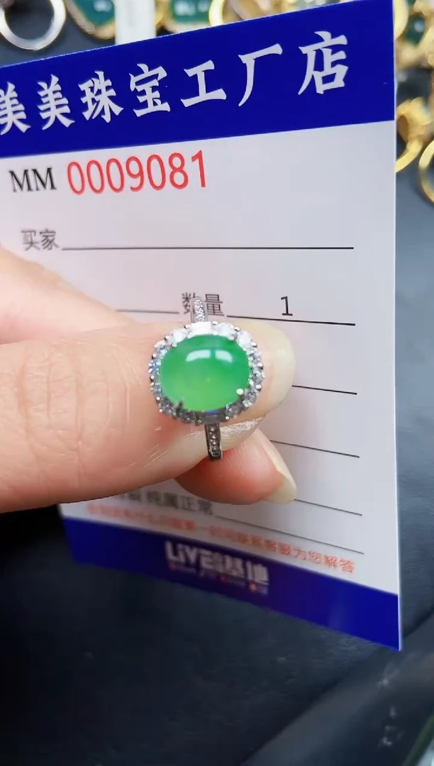 翡翠银S925镶嵌颈饰9081