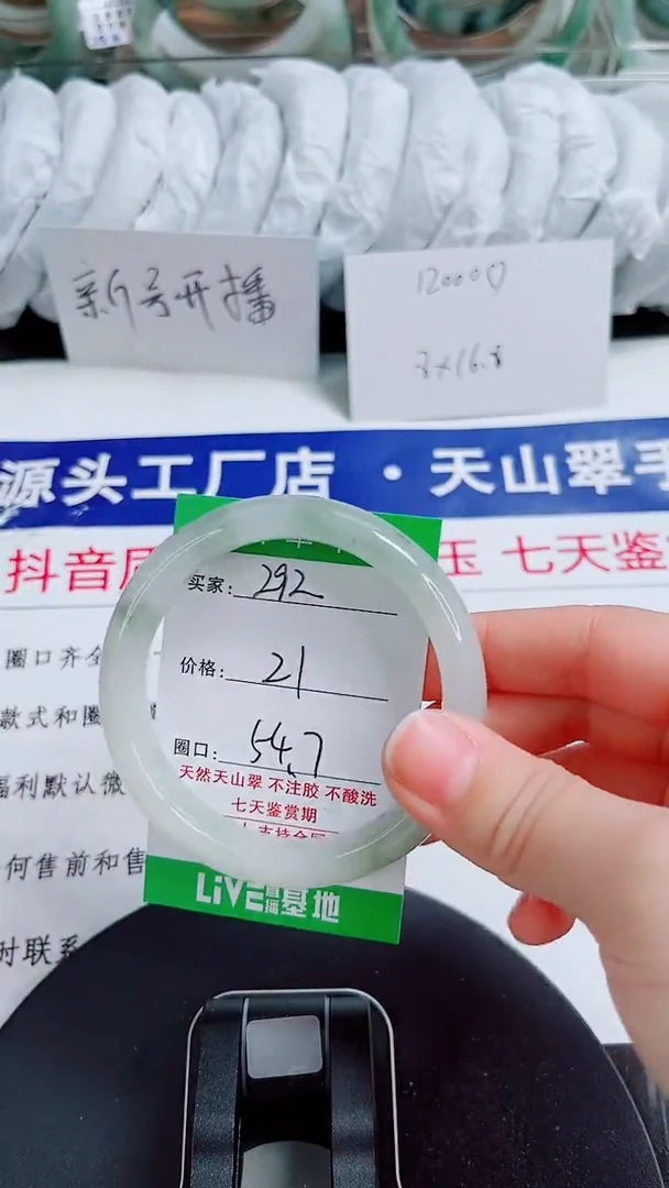 未镶嵌手镯石英质玉292-54/55