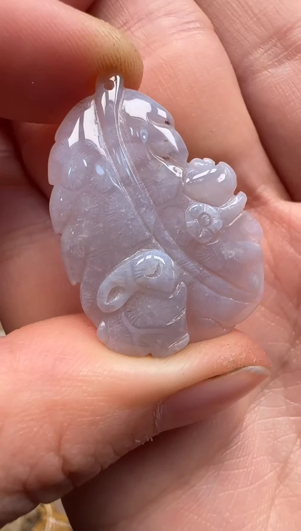 【闪购商品】硅化珊瑚（珊瑚玉）颈饰未镶嵌505