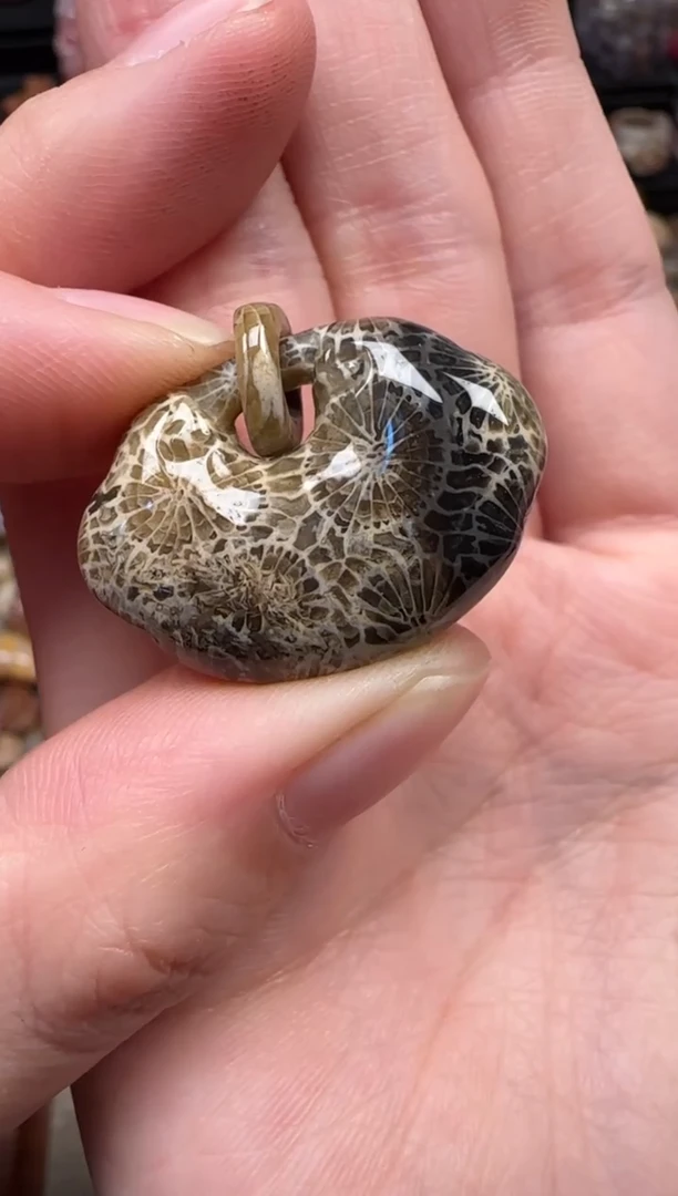 颈饰未镶嵌硅化珊瑚（珊瑚玉）348