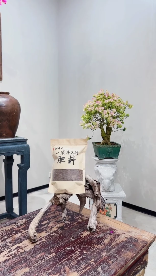 【闪购商品】盆景三角梅专用肥3包