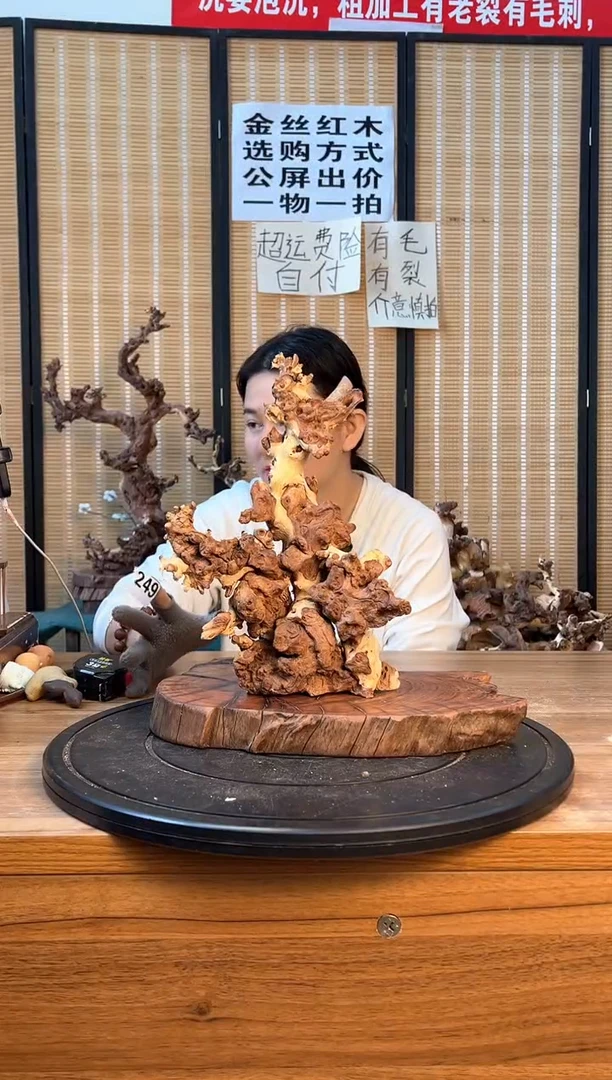 【闪购商品】木云南红河金丝红249