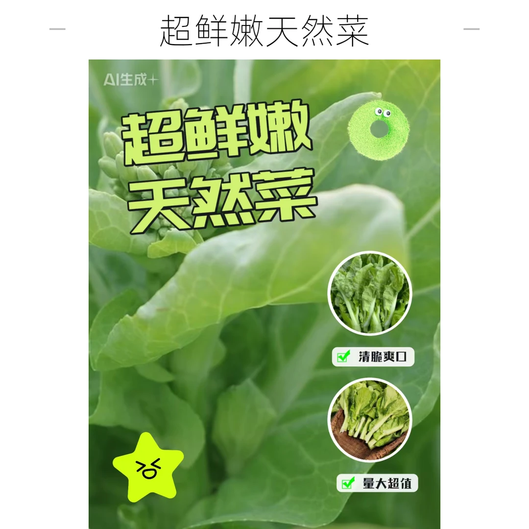 高山露天种植新鲜白菜苔当季时令蔬菜菜心