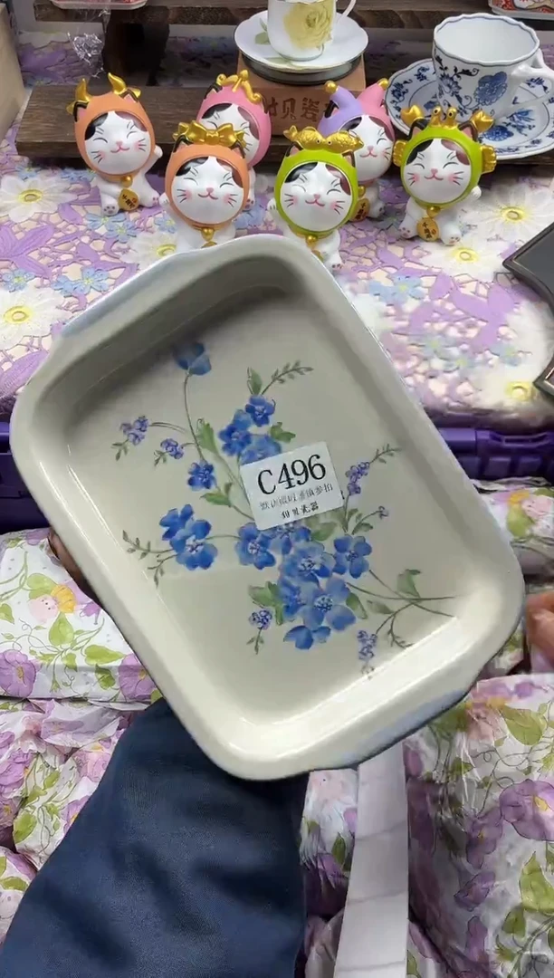瓷片?**吖             C496