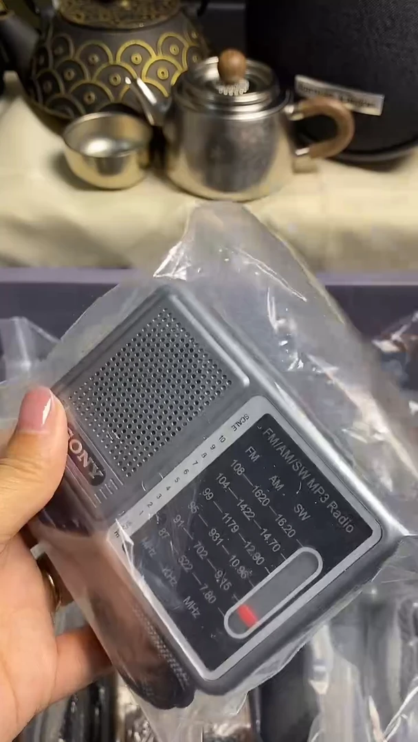洞*口袋迷你收音机