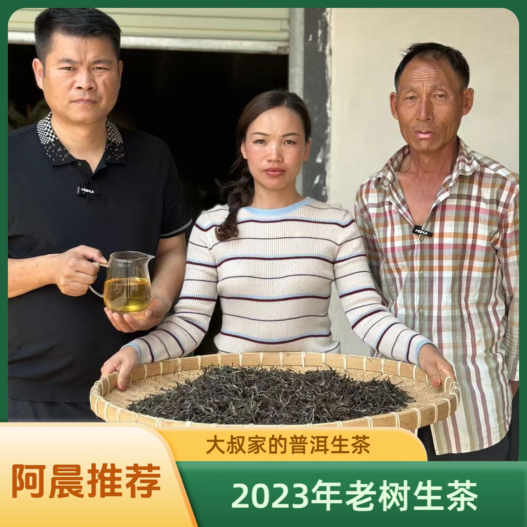 【普洱老家阿晨优选】大叔家的普洱生茶 2023年普洱老树生茶