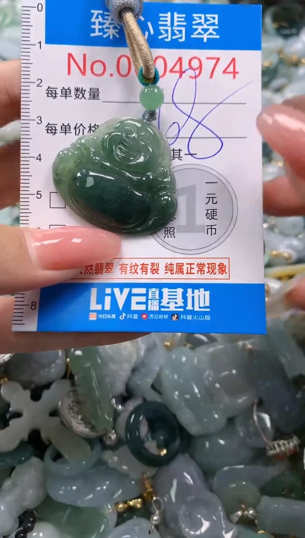 翡翠未镶嵌颈饰4974