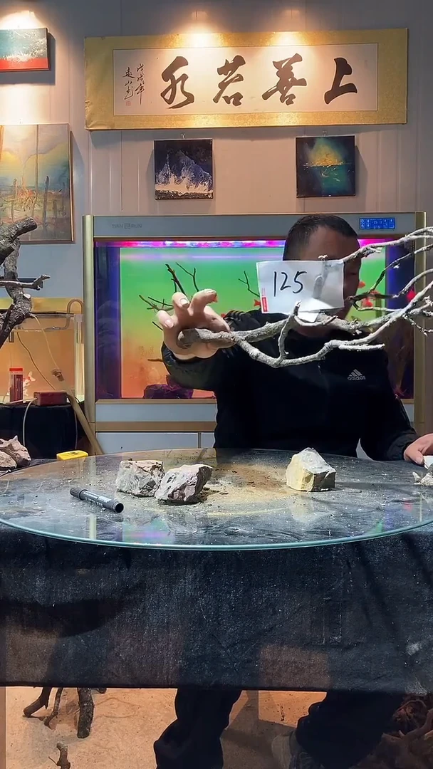 125号天然黄栎木适合50缸