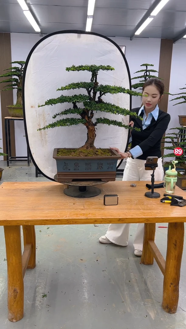 无花朵000000000000