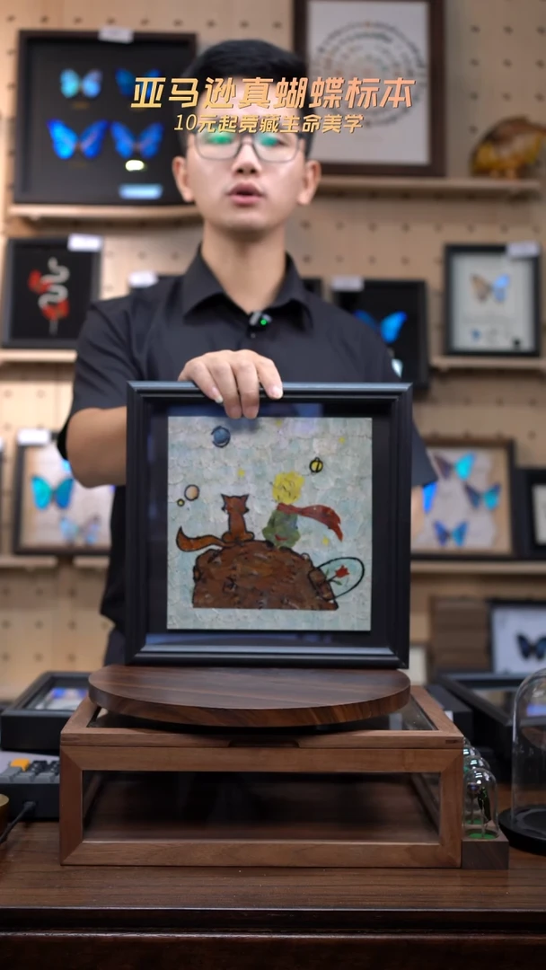 小王子蝴蝶翅膀蝶翅画l141