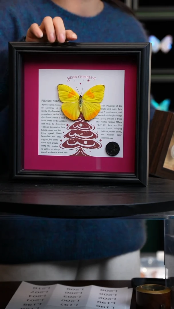 黄纹菲粉红色圣诞树款