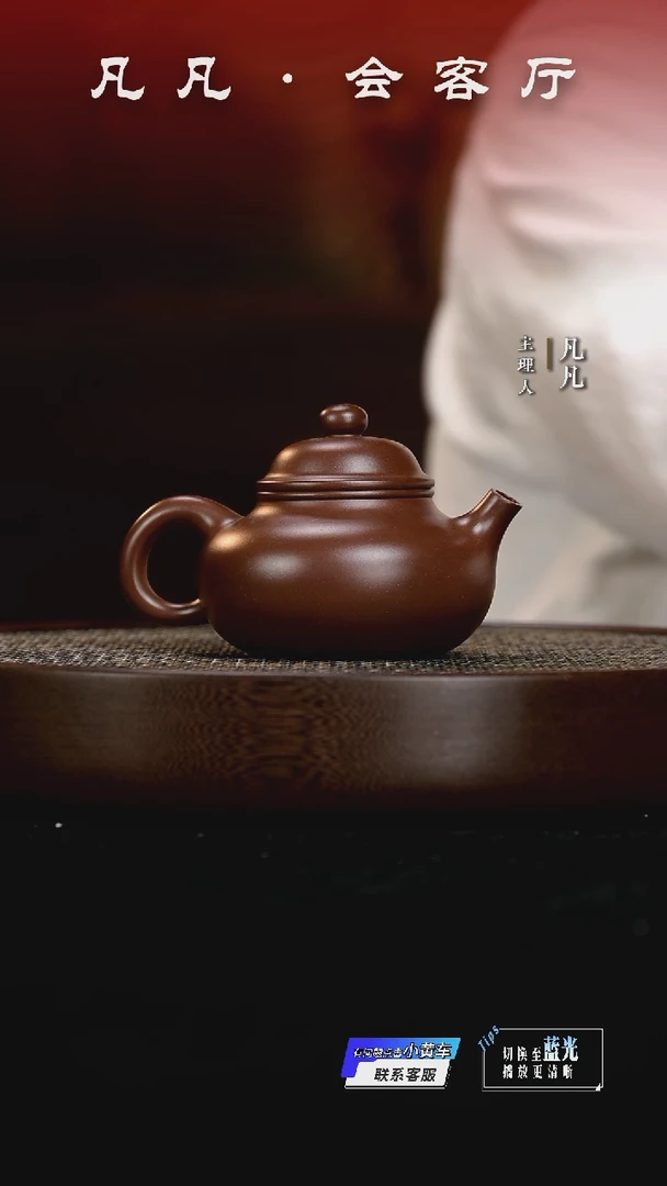 凡凡会客厅 紫砂壶21 容天