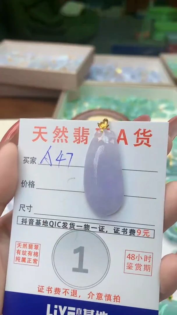 颈饰未镶嵌翡翠天然A货翡翠挂件