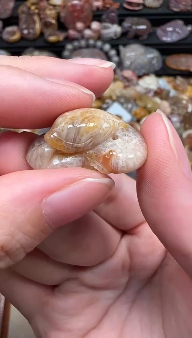 颈饰未镶嵌硅化珊瑚（珊瑚玉）294