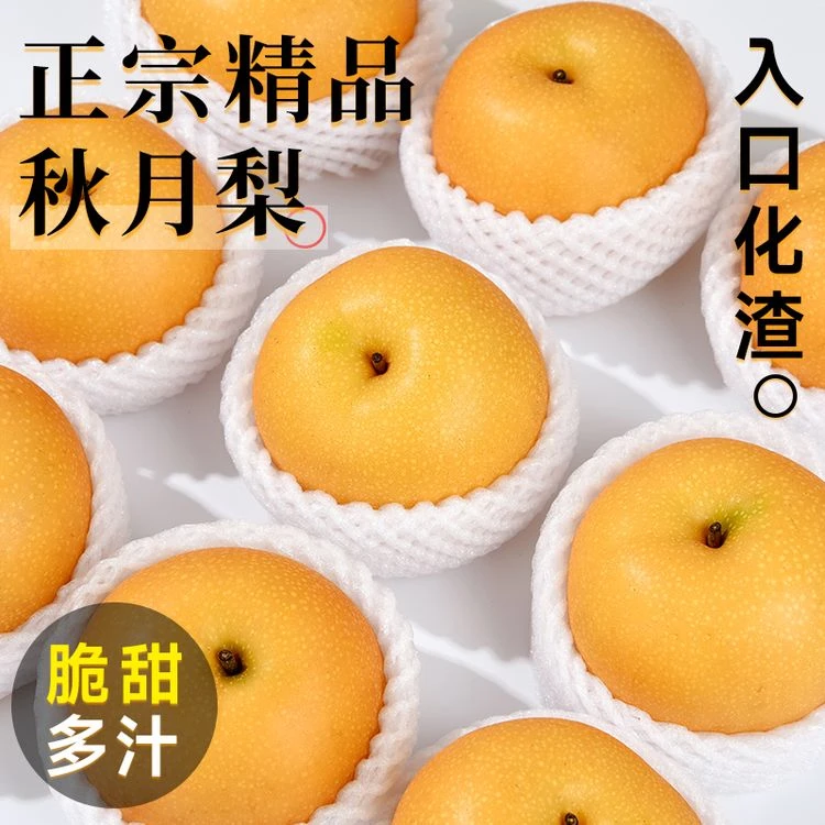 【正宗莱阳】秋月梨大果山东烟台脆甜多汁冰糖新鲜酥梨产地直发包邮