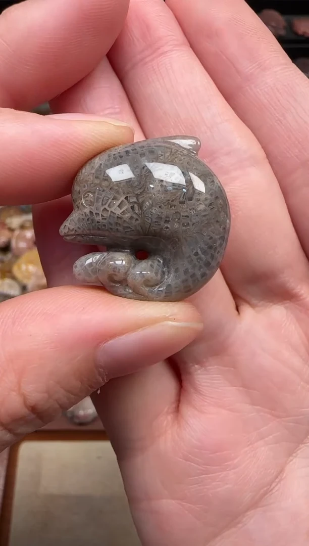 颈饰未镶嵌硅化珊瑚（珊瑚玉）087