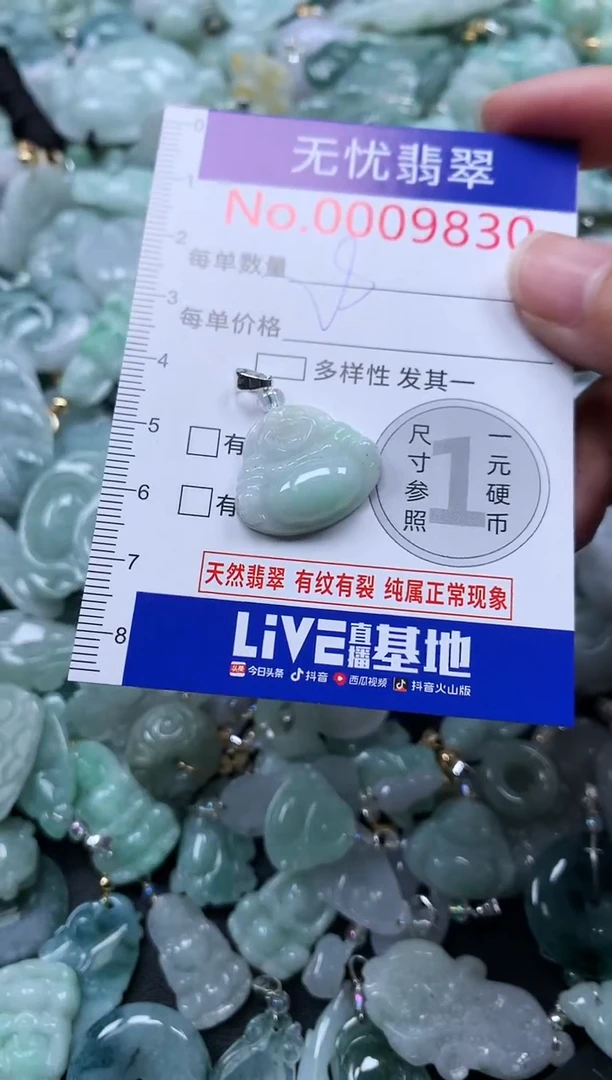 颈饰未镶嵌翡翠9830