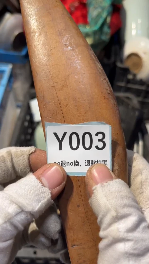 陶瓷顽*派表弟直播链接火爆热卖