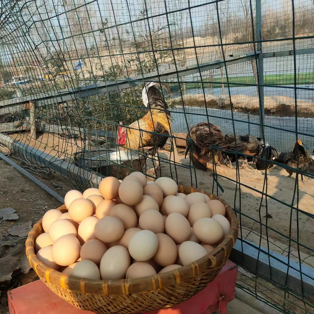 土鸡蛋30枚  农家散养 山林湖水散养 无菌无抗 新鲜营养 正宗土鸡蛋笨鸡蛋生态蛋