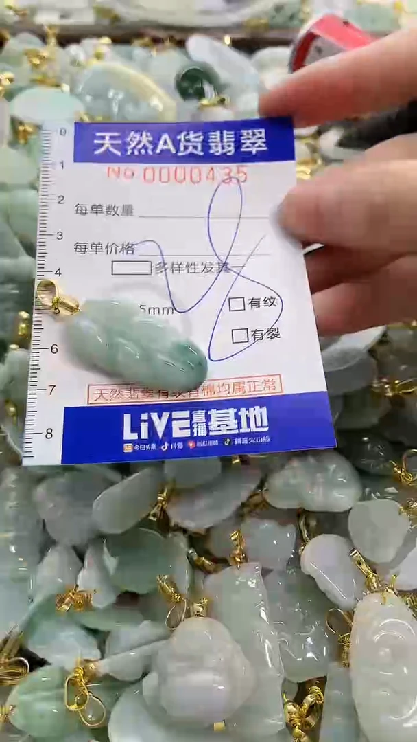 颈饰未镶嵌翡翠纯天然a货翡翠