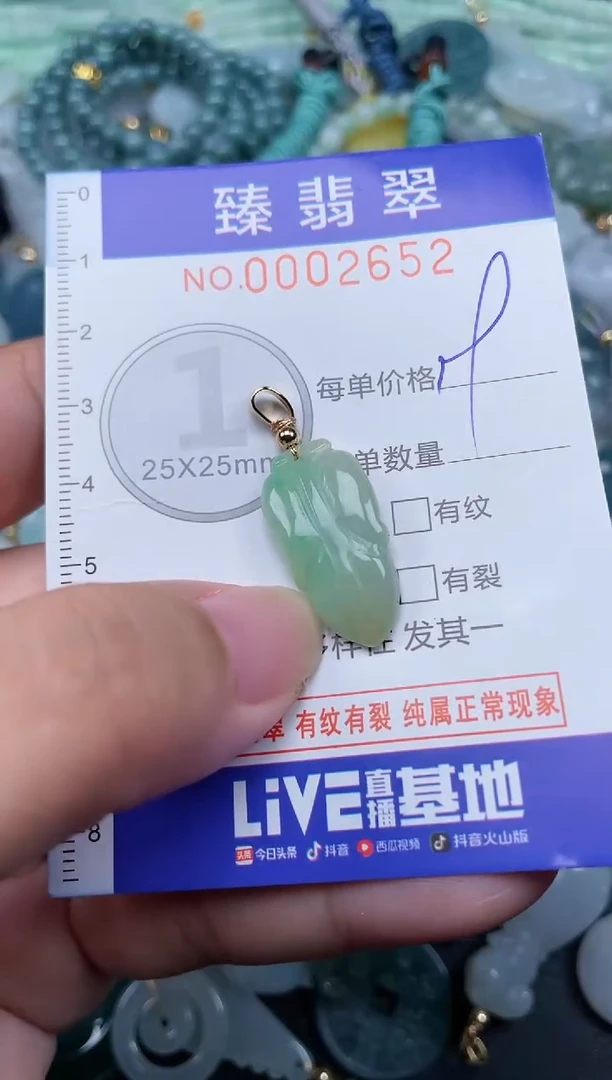翡翠未镶嵌颈饰.0002652