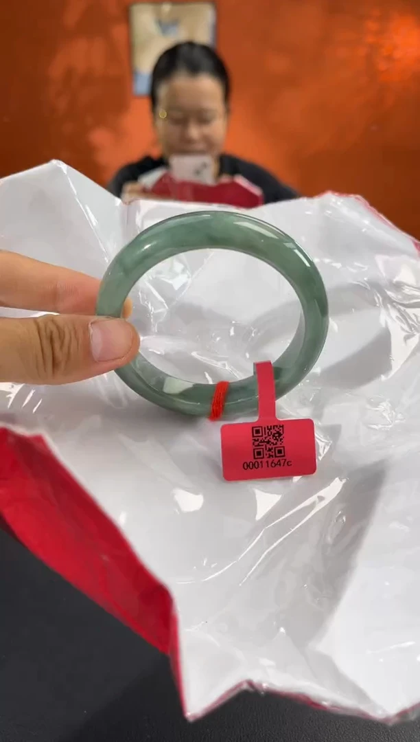 未镶嵌手镯翡翠6