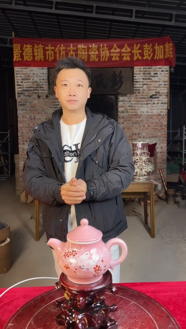 壶陶景德镇陶瓷壶