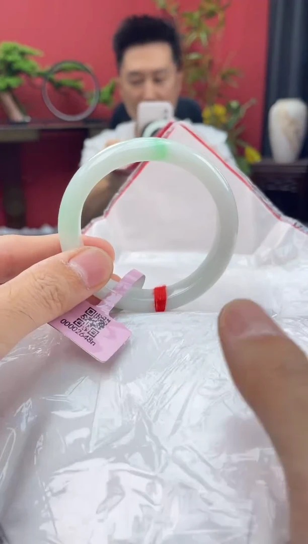 未镶嵌手镯翡翠5